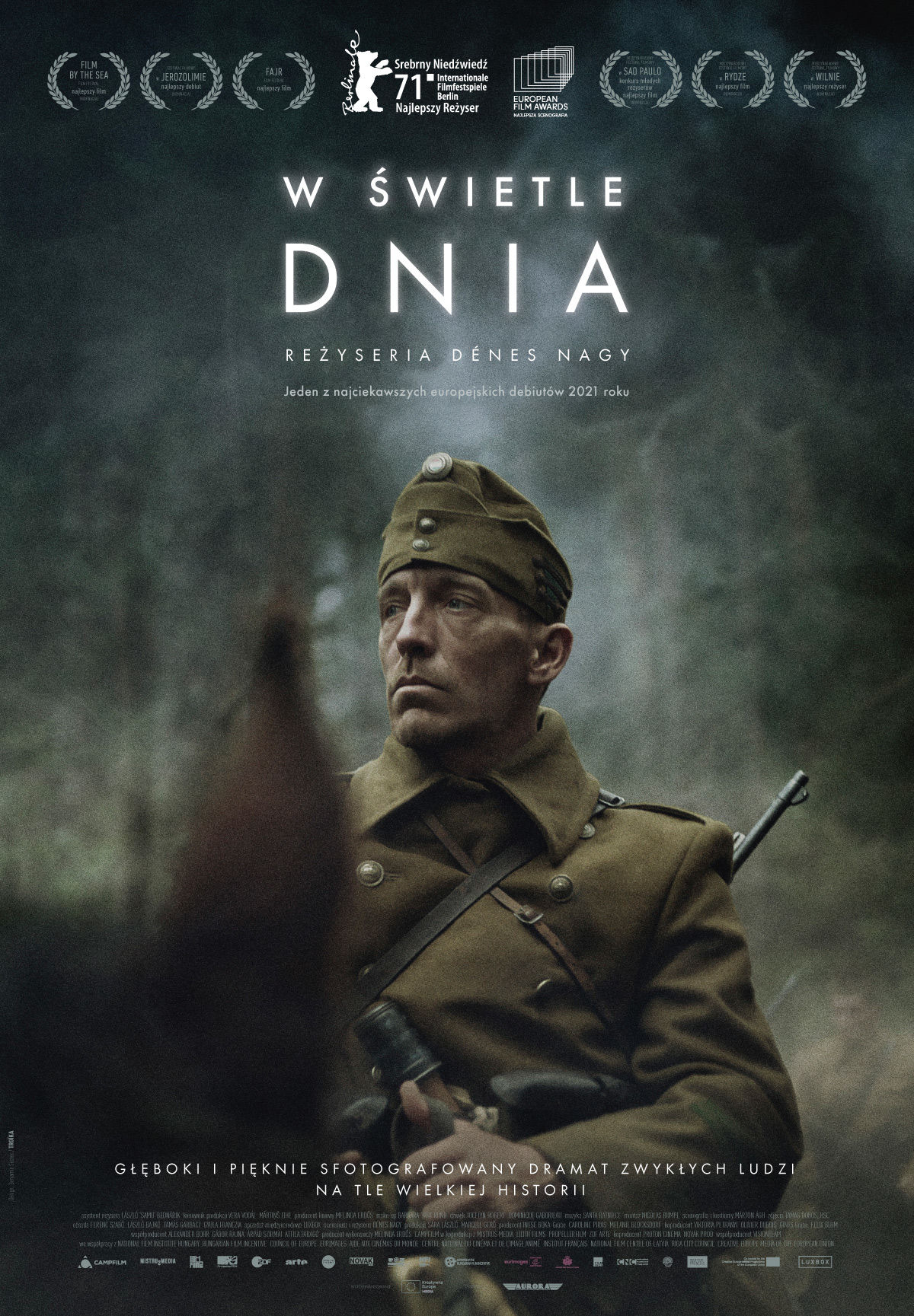 Polski plakat filmu 'W świetle dnia'
