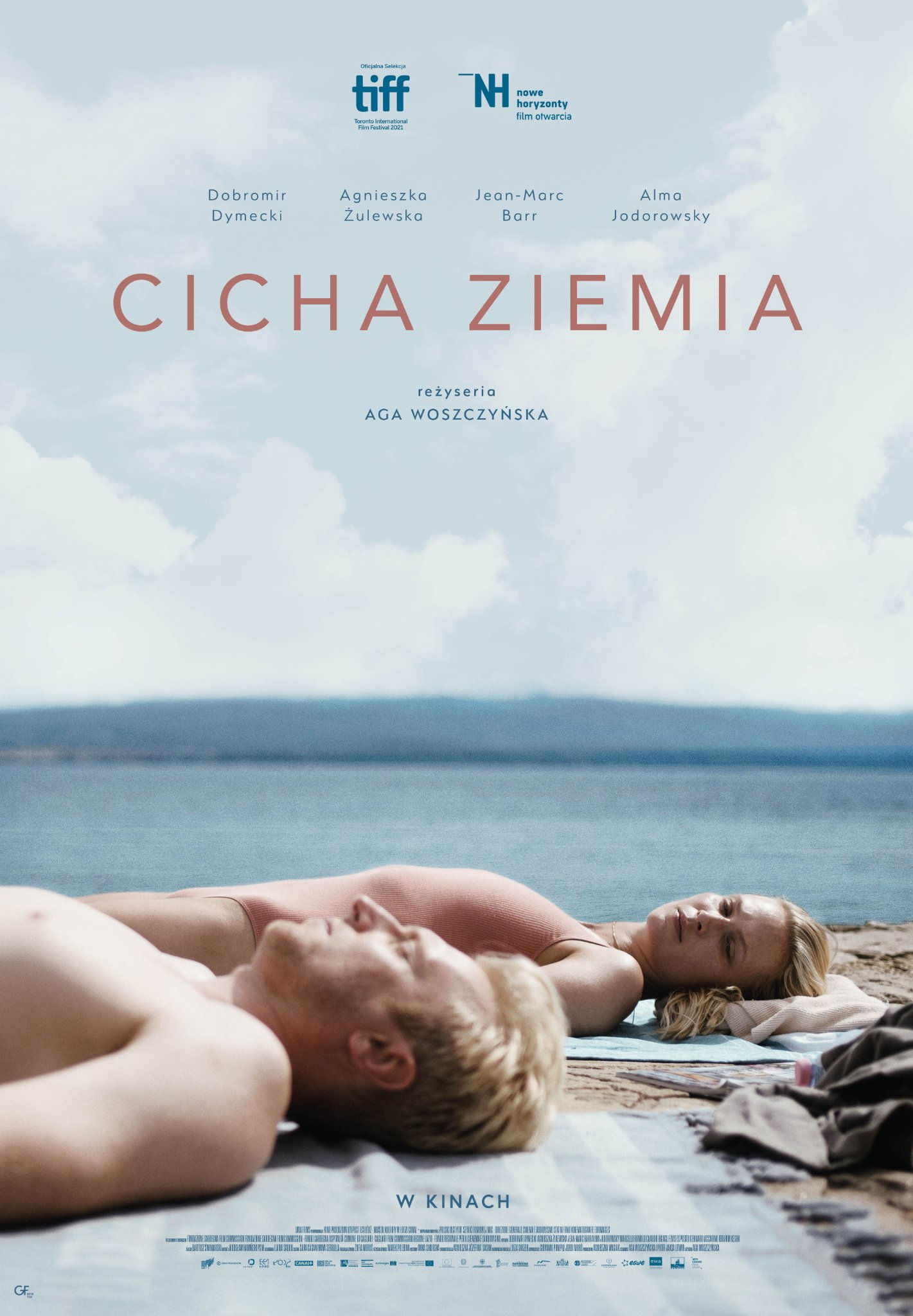 Polski plakat filmu 'Cicha ziemia'