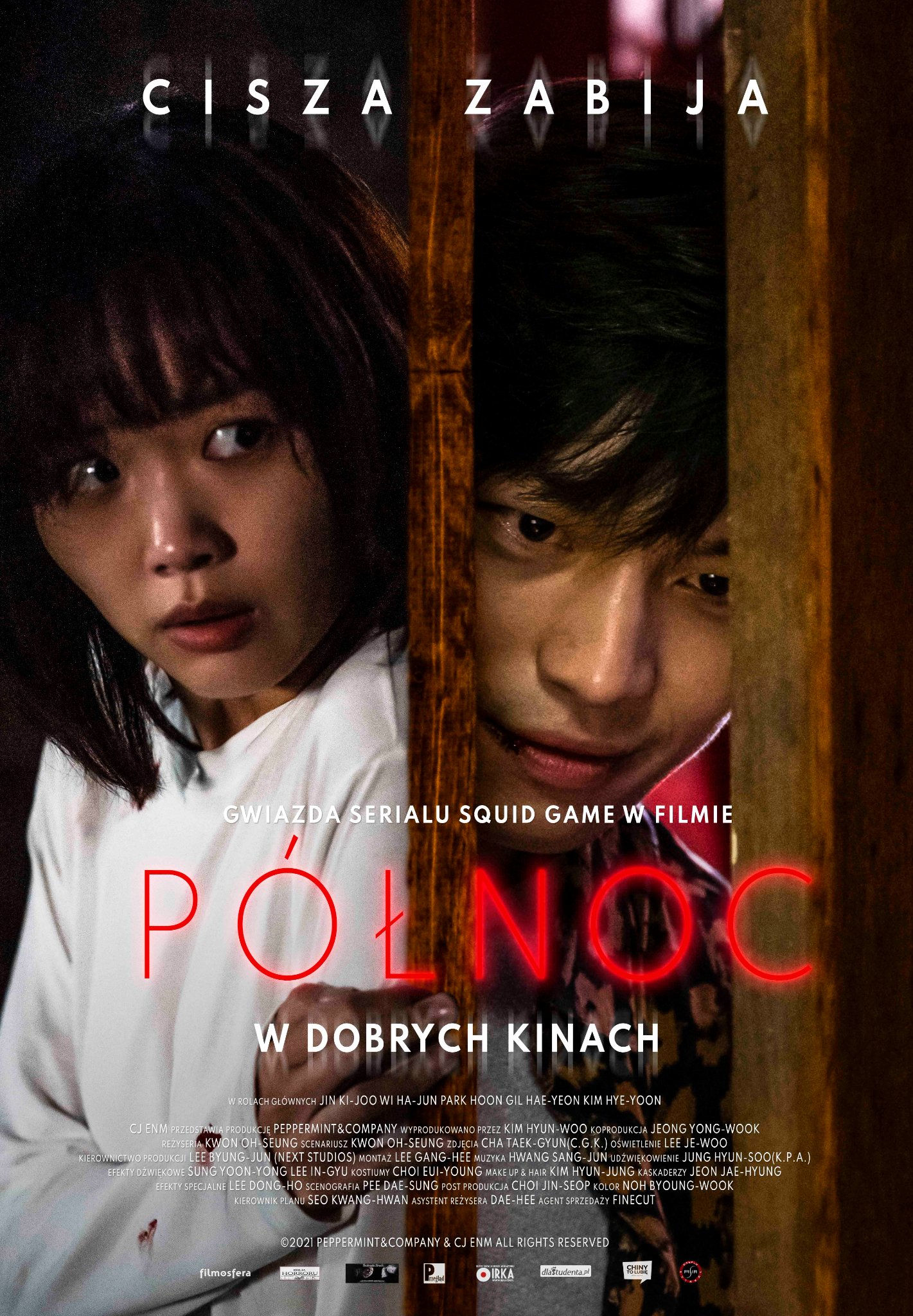 Polski plakat filmu 'Północ'