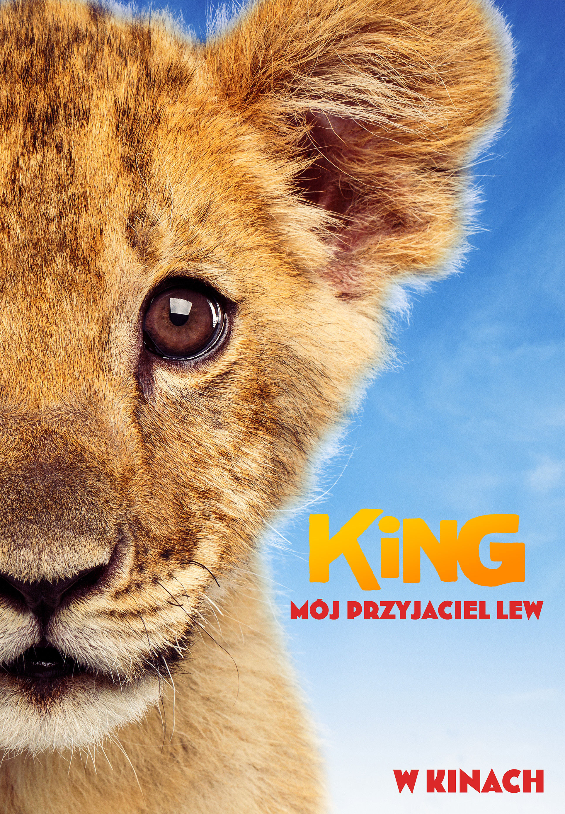 Polski plakat filmu 'King: Mój przyjaciel lew'