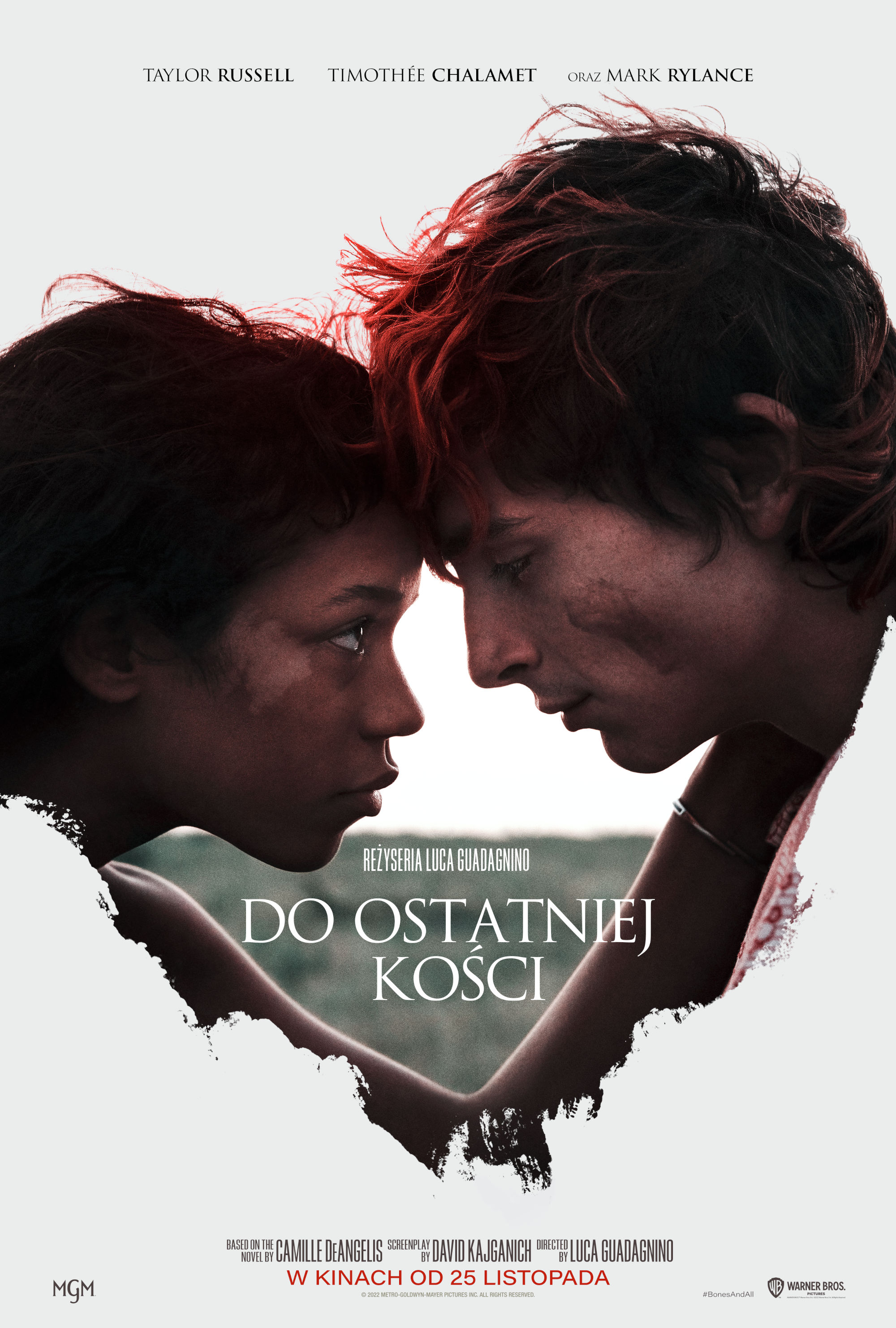 Polski plakat filmu 'Do ostatniej kości'
