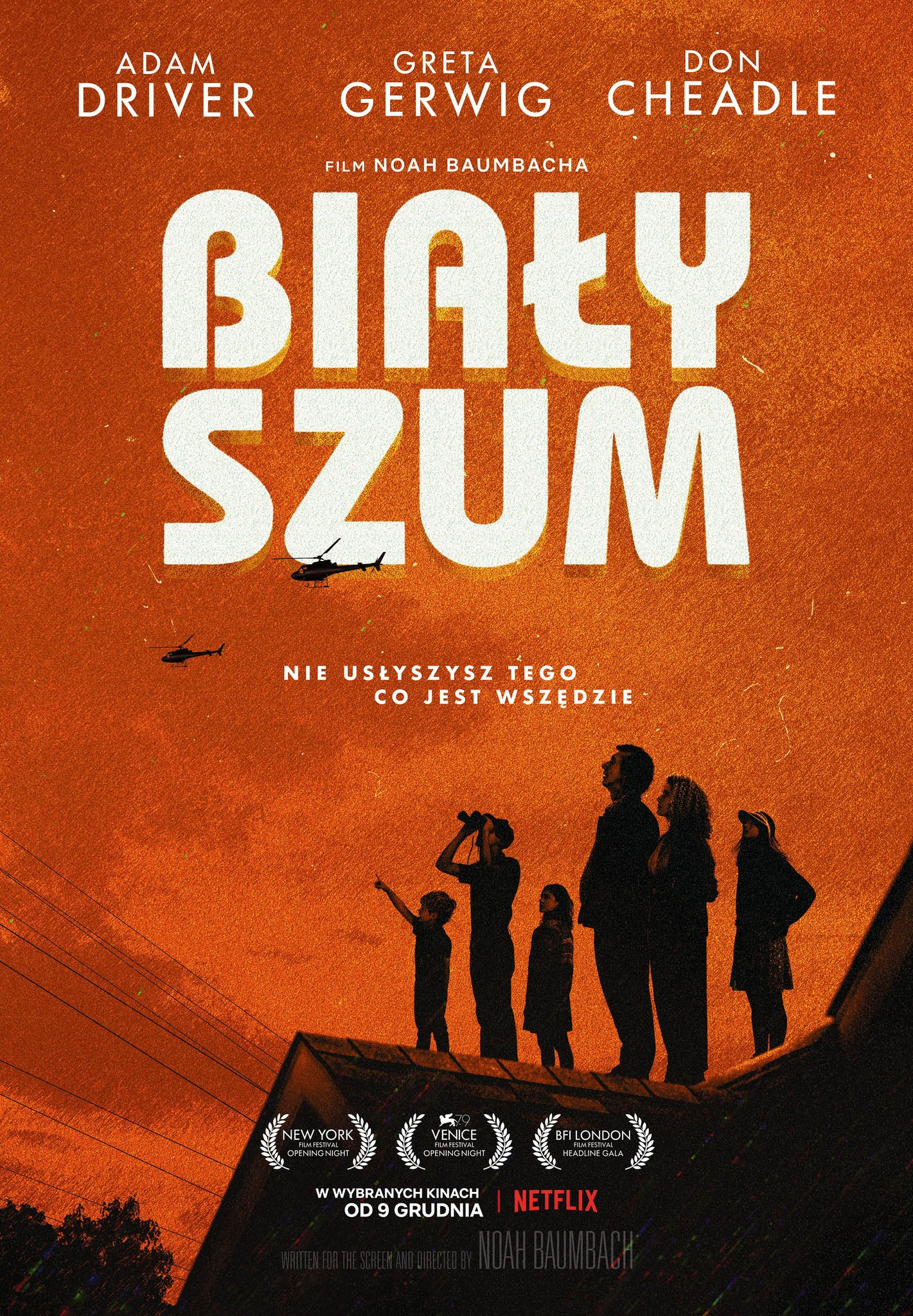 Polski plakat filmu 'Biały szum'