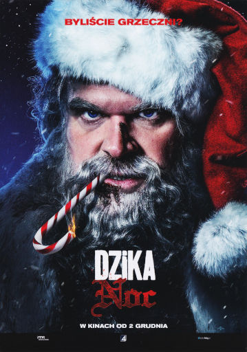 Przód ulotki filmu 'Dzika noc'
