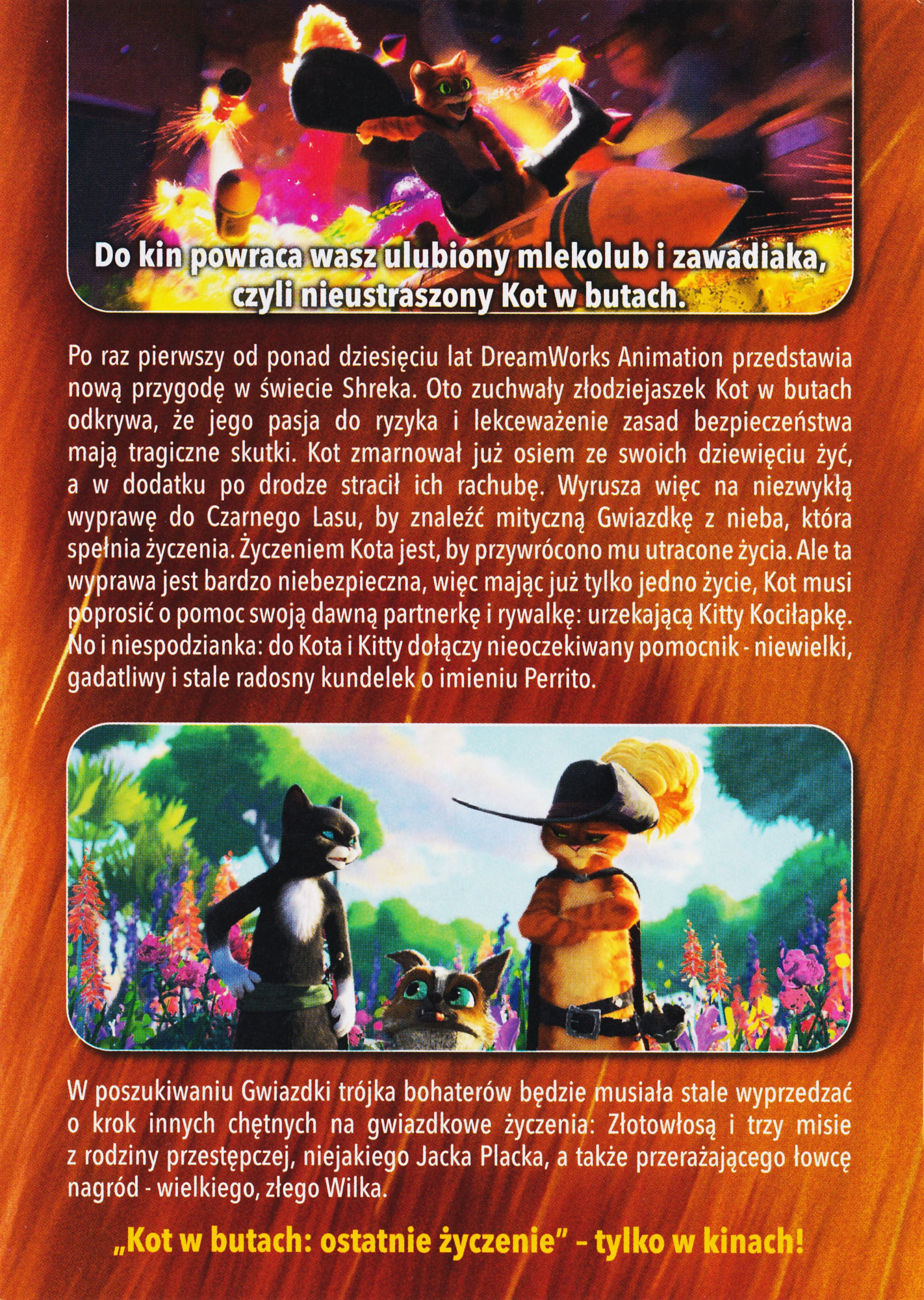 Ulotka filmu ''