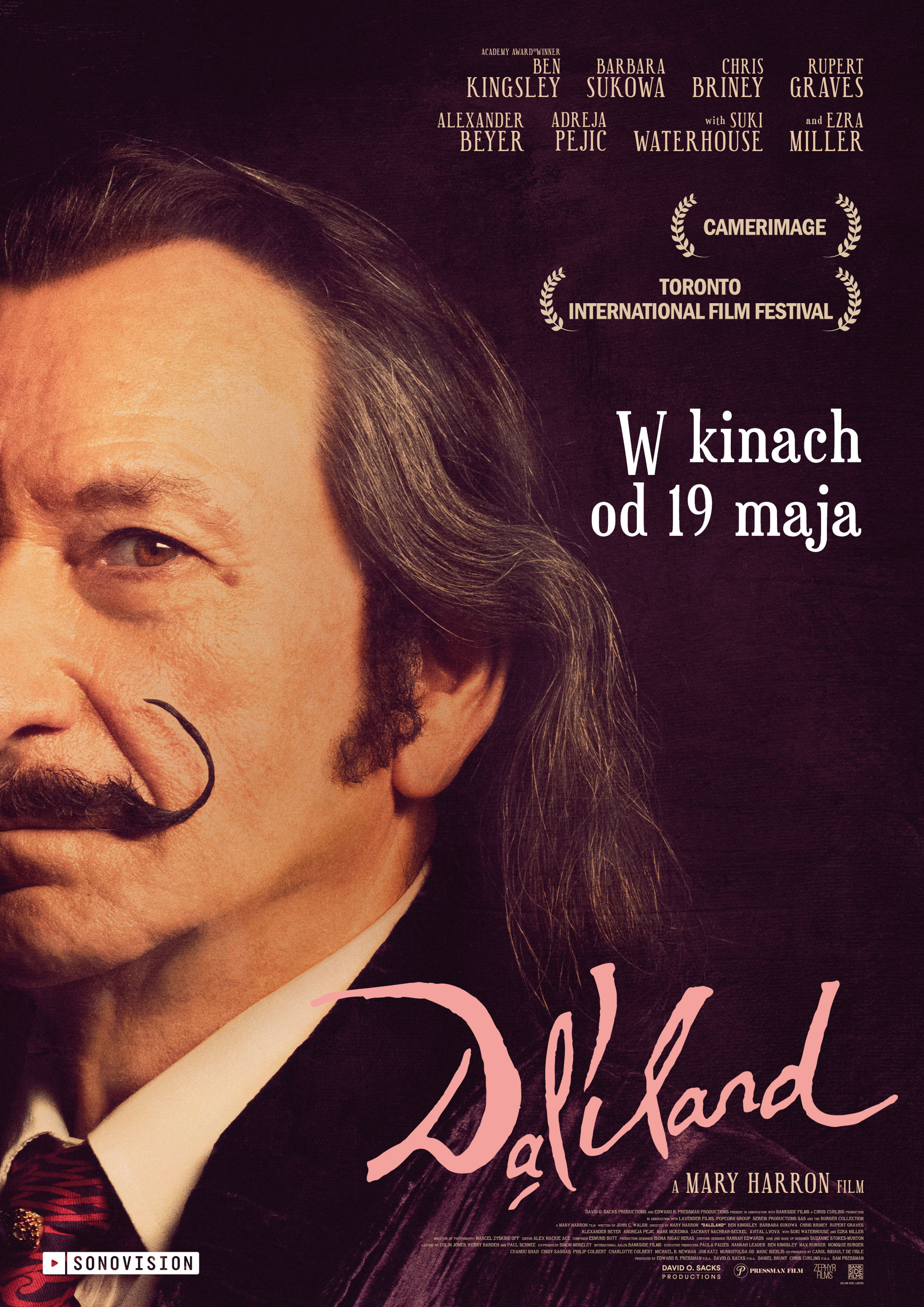 Polski plakat filmu 'Daliland'