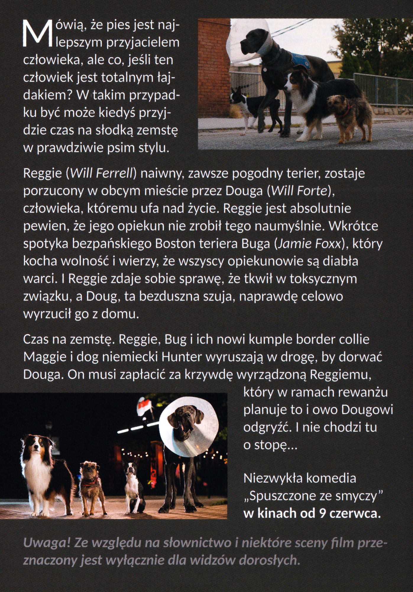 Ulotka filmu ''