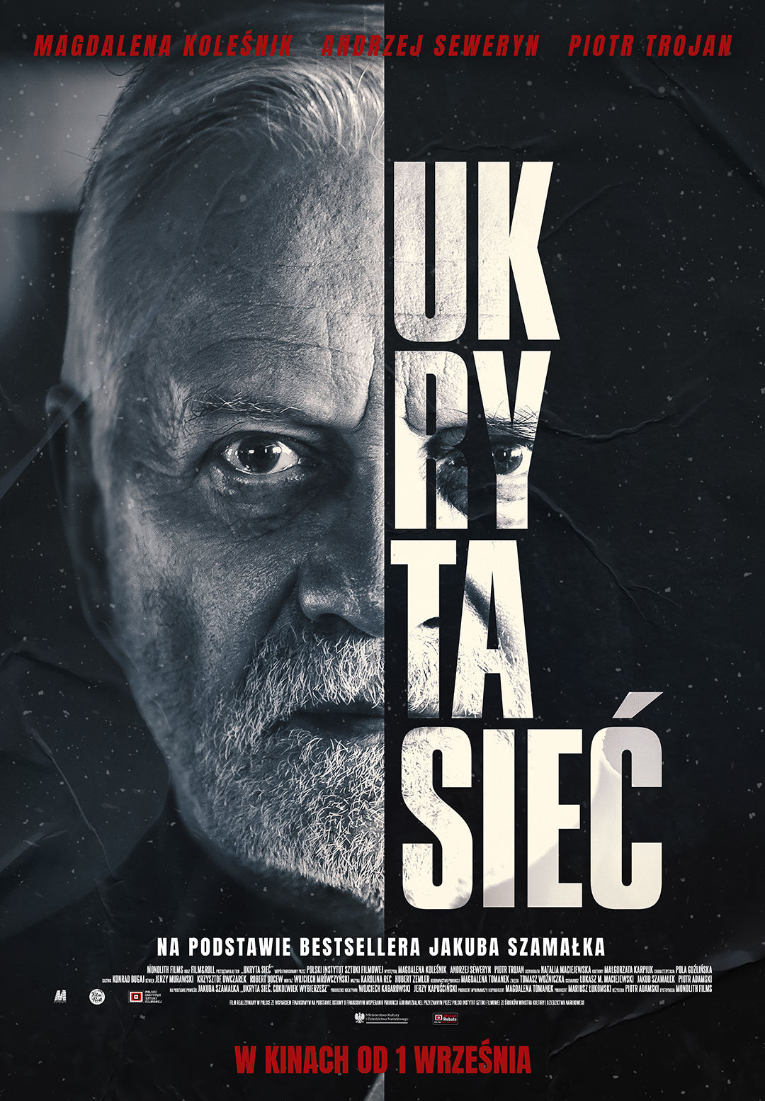 Polski plakat filmu 'Ukryta sieć'