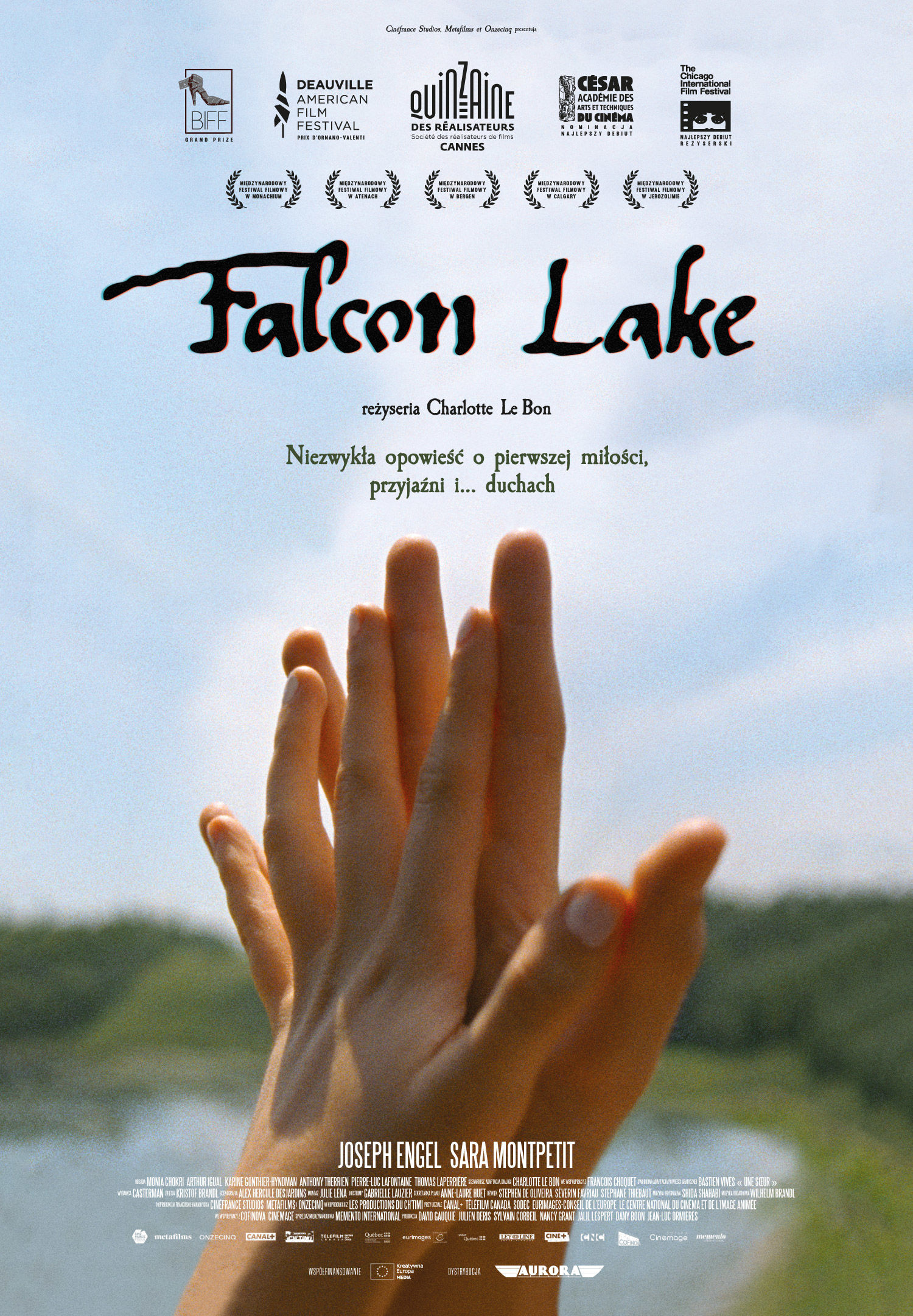 Polski plakat filmu 'Falcon Lake'