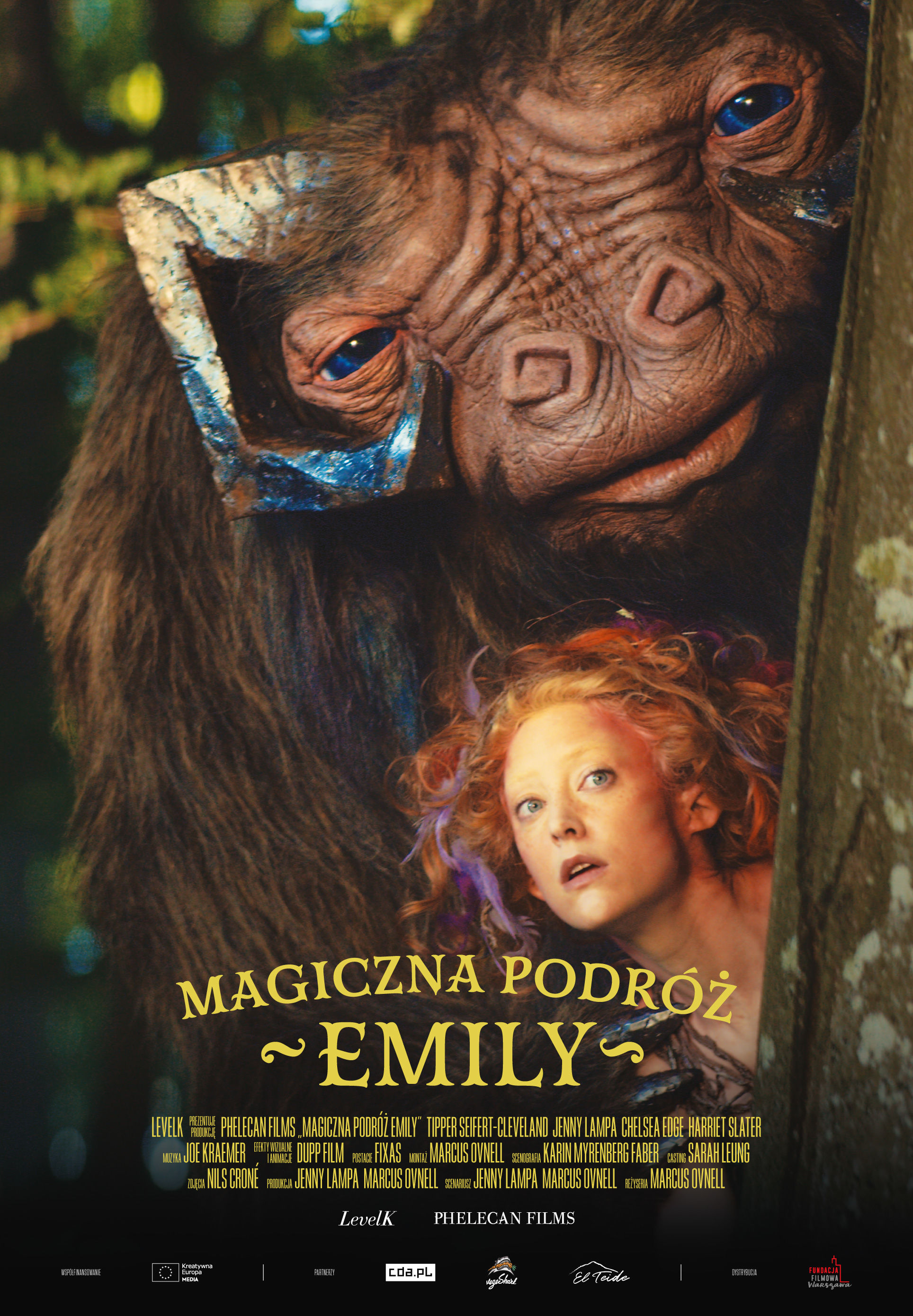 Polski plakat filmu 'Magiczna podróż Emily'