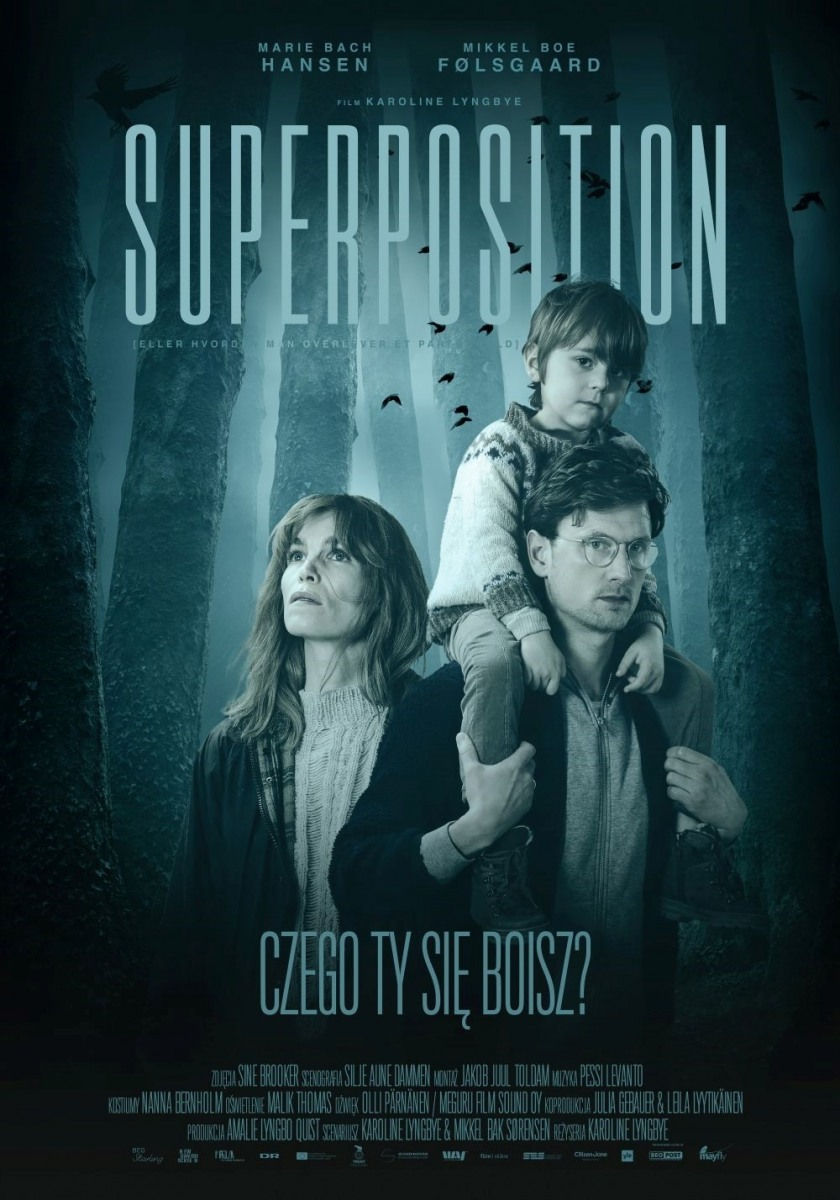 Polski plakat filmu 'Superposition'