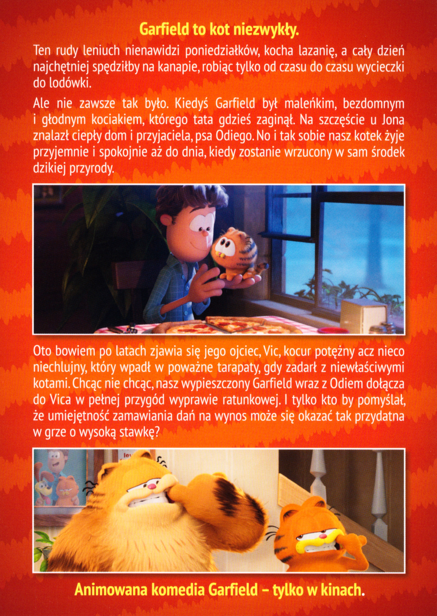 Ulotka filmu ''